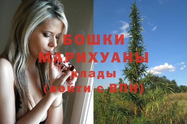 ECSTASY Дмитров