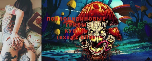 Альфа ПВП Дмитриев