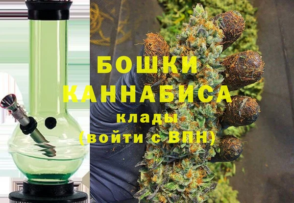 Альфа ПВП Дмитриев