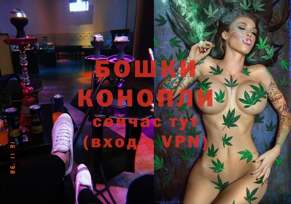Альфа ПВП Дмитриев